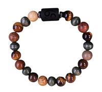 RWGSNB Zodiac Sign Constellation Gemstone Bracelet Personalized Natural Tiger Eye Stones Bracelet Spirit Beaded Protection Crystal Bangles Blessing Birthday Gifts Capricorn