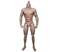 Rwigeboo 1/12 Scale Figure 10 Inch Male Action Figure Body Flexible Male Body Doll Plastic Muscular Miniature Without Head Sculpture Skeleton Action