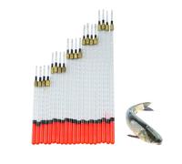 Rwoythk 20pcs Fishing Floats Accessories Coarse, Transparent Waggler Float Sea Carp Fishing Kit Rod Tackle Stops for Coarse Straight Insert for Fishing In Stillwater and Running Waters, 5 Size