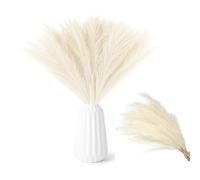 RXKFIGX 30 pcs Pampas Grass Artificial, 55cm Pampas Grass Deco, Pampasgra Deco Dried Flowers Dried Flowers Deco Artificial Flowers Plants for Wedding Office Bedroom Living Room