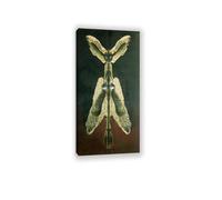 RXNHGJDS Remedios Varo canvas Prints wall art Female spirit of the night famous paintings on canvas surrealism posters Picture for Bedroom Home Decor160x80cm(62x31.5in) Framed