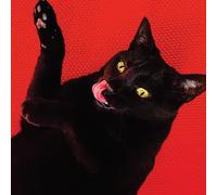 Ryan Adams - Big Colors