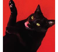 RYAN ADAMS - BIG COLORS RED VINYL LP + 7" VINYL SINGLE (NEW)