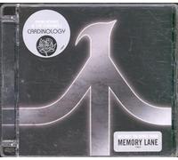 Ryan Adams - Cardinology