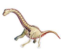 Ryanong 4D Master Dinosaur Anatomical Model, Detachable 42 Parts Animal Dinosaur Organ Medical Teaching Model Simulated Animal Child Gift Toy for Medical Educational Training Aid.