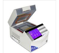 Ryanong Economic Gradinet Thermal Cycler PCR Instrument 384 Well