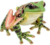 Ryanong Frog Anatomical Model, Animal Anatomical Model,4D Visual Animal Display Model, Suitable for Veterinary Office, Educational Display.