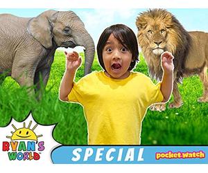 Ryan's Wildlife Wonders!