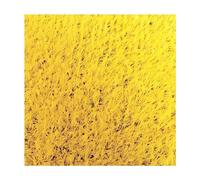 RybdaFDc 0.78in Thick Artificial Grass Turf, Artificial Grass Rug with Drainage Holes & Rubber Backing, for Pets Area Pool Area(Yellow,2x7m(6.59x22.96ft))