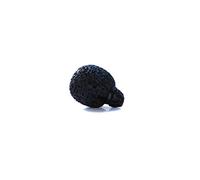 Rycote 105526 Neoprene Coated Mini Lavalier Foam
