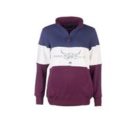 Rydale Ladies Country Sweatshirt Embroidered Women's Sweater Striped Women (UK, Numeric, 14, Regular, Regular, Cow Berry/White/Denim)