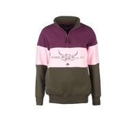 Rydale Ladies Country Sweatshirt Embroidered Women's Sweater Striped Women (UK, Numeric, 8, Regular, Regular, Cow Olive/Sorbet/Berry)