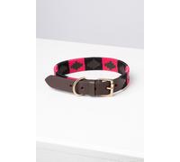 Rydale Polo Belt Dog Collar - - Size: M-L