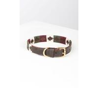Rydale Polo Belt Dog Collar - - Size: M-L