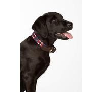 Rydale Polo Belt Dog Collar - - Size: M-L