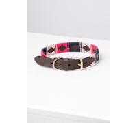Rydale Polo Belt Dog Collar - - Size: M-L