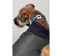 Rydale Polo Belt Dog Collar - - Size: M-L