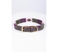 Rydale Polo Belt Dog Collar - - Size: M-L