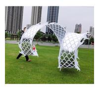 Rygcrud Outdoor Flinging Dance - Dragon Ribbon Poi Streamer with 3D Head, Beginners Juggling Sets for Gifts, Festival Performance, Fitness Toys(White,10m/32.8ft)