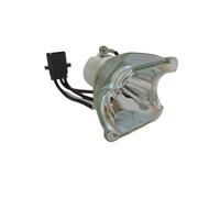 RYGSSHUG Compatible POA LMP111 Projector Bulb Fit for PLC WXU30 PLC WXU3ST PLC WXU700 PLC XU101 PLC XU105 Assembly