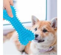 RYND Dog Chew Toy, Textured Bone Shape, Blue/Pink/Lime Green (Blue)