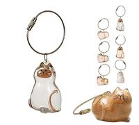 RynoPulse 5Pcs Cat Hair Keychain, Cat Hair Memorial Capsule Keychain, Pet Fur Keepsake, for for Collecting Pet Hair (D)