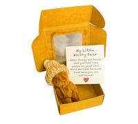 RynoPulse Little Bear in Box, Worry Bear Hug in a Box with Inspirational Card, The Ultimate Emotional Support Partner, Sympathy Gift for Christmas and Valentine's Day, Cute Desk Accessories (Coffee)
