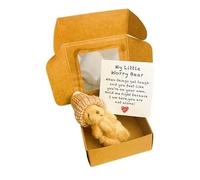 RynoPulse Little Bear in Box, Worry Bear Hug in a Box with Inspirational Card, The Ultimate Emotional Support Partner, Sympathy Gift for Christmas and Valentine's Day, Cute Desk Accessories (Brown)
