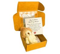 RynoPulse Little Bear in Box, Worry Bear Hug in a Box with Inspirational Card, The Ultimate Emotional Support Partner, Sympathy Gift for Christmas and Valentine's Day, Cute Desk Accessories (White)