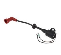 Rynplex Boat Ignition Coil Marine Outboard Motor Ignition Alloy Coil Assy Boat Accessories Marine 9.9 15HP 2-Stroke, for YAMAHA, 1996-2006 Boat Ignition Switch