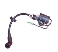 Rynplex Boat Motor Ignition Coil Assy, for HIDEA, 2- Stroke 30HP 25HP 30F 25F Outboard Engine Long Stype 30F-01.02.08.00 Marine Engine Ignition Switch