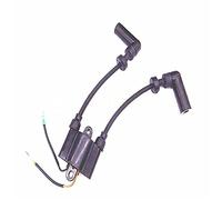 Rynplex Boat Motor Ignition Coil Assy, for Parsun, 4- Stroke F8 F9. 8 Outboard Engine High Pressure Coil F8-05000500 Boat Ignition Switch