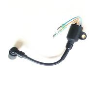 Rynplex Boat Motor Ignition Coil, for Parsun, 2- Stroke T2. 5 T3. 6 HDX3. 6 Outboard Engine High Pressure Assy T3.6-04000300 Boat Ignition Switch