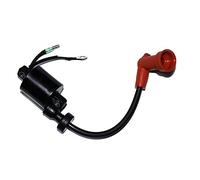 Rynplex Ignition Coil 40F 2 Stroke 40HP, for HIDEA, 2 Stroke 40HP Outboard Motor Boat Ignition Switch