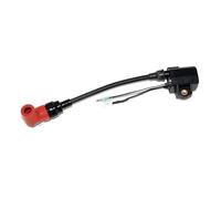 Rynplex Ignition Coil, for YAMAHA, 2 Stroke 100 115 150 175 200 225HP Outboard Motor 6R3-85570-01 Boat Ignition Switch
