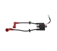 Rynplex Ignition Coil, for YAMAHA, 4- Stroke F9. 9H FT25 F15 F20 F25 Outboard Engine 6F5-85570- 13 6F5-85570-12 Boat Ignition Switch