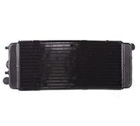 Rynplex Motorcycle Engine Radiator Cooler Cooling System, for Shadow VLX 600 VT600C 1988-1989 1991-1998 VT600CD Deluxe 1994-1998 Car Interior Radiator