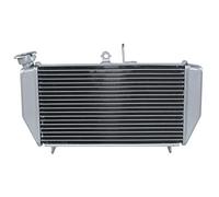 Rynplex Motorcycle Engine Radiator Cooling Cooler, for, for YAMAHA, YZFR3 YZF R3 2015-2021 2020 2019 Car Interior Radiator