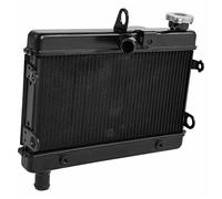 Rynplex Motorcycle Engine Radiator Cooling Cooler, for Rebel 300 CMX300 2017-2020 Car Interior Radiator