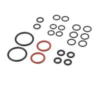 Rynplex Sealing Ring Accessories for SC2 SC3 SC4 SC5 CTK10 CTK20 K.Archer Seal Ring 2.884-312.0 Steam Cleaner Spare Parts Steam cleaner parts