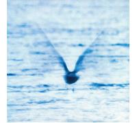 RYO FUKUI - MELLOW DREAM [LP]