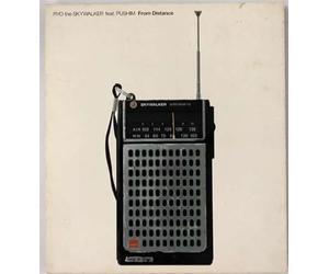 Ryo the Skywalker/Pushim - From Distance