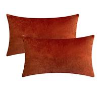 Rythome Set of 2 Comfortable Rectangular Velvet Throw Pillow Cases, Decorative Lumbar Cushion Covers for Sofa Couch and Bed - 12"x20", Rust