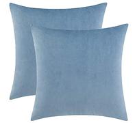 Rythome Set of 2 Comfortable Throw Pillow Cover for Bedding, Decorative Accent Cushion Sham Case for Couch Sofa, Soft Solid Velvet with Zipper Hidden - 16"x16", Sky Blue