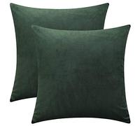 Rythome Set of 2 Comfortable Throw Pillow Covers for Bedding, Decorative Accent Cushion Sham Cases for Couch Sofa, Soft Solid Velvet with Zipper Hidden - 20"x20", Dark Jungle Green