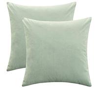 Rythome Set of 2 Comfortable Throw Pillow Covers for Bedding, Decorative Accent Cushion Sham Cases for Couch Sofa, Soft Solid Velvet with Zipper Hidden - 18"x18", Turquoise Green