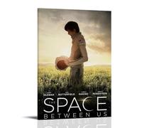 RYTWQRWE The Space Between Us Posters Aesthetic Wall Art Decor Vintage Canvas Decorative Painting Poster for Living Room Bed Room 08x12inch(20x30cm) Frame-style