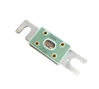 RYVEWZOOE Automobile fuse CNN 10A 35A 40A 50A 60A 80A 100A 125A 150A 160A 175A(500A)