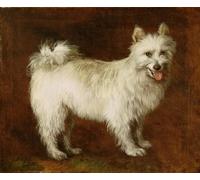 RZHRHJES Retro Picture Portrait Oil Painting Modern Wall Artwork Spitz Dog by Gainsborough Canvas Poster for Home Decor 60x90cm