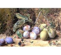 RZHRHJES Vintage Picture Wall Picture Painting Print Poster Still Life by William Henry Hunt Abstract Wall Art Painting for Home Decor 60x90cm
